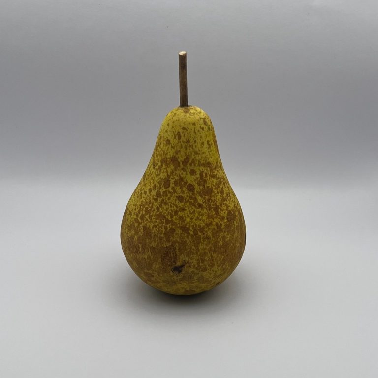 Hand painted wooden pear with small brown stems.