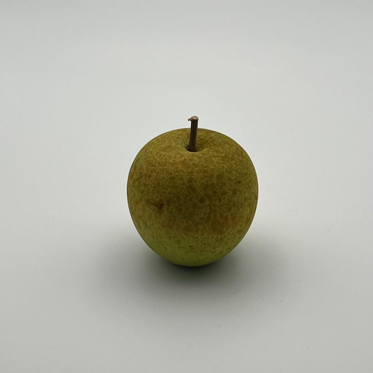 Hand painted wooden russet apple with small brown stems.